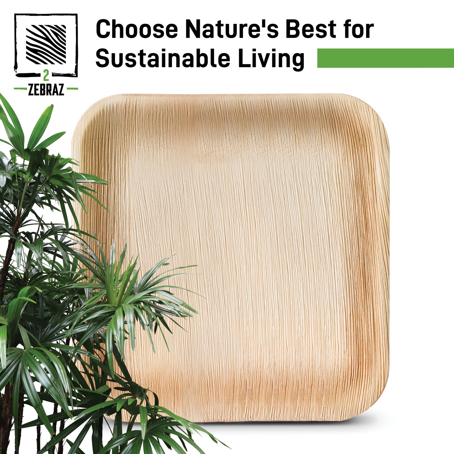 2ZEBRAZ 10” Square Palm Leaf Plates - Pack of 50 | Elegant, Durable, and Eco-Friendly