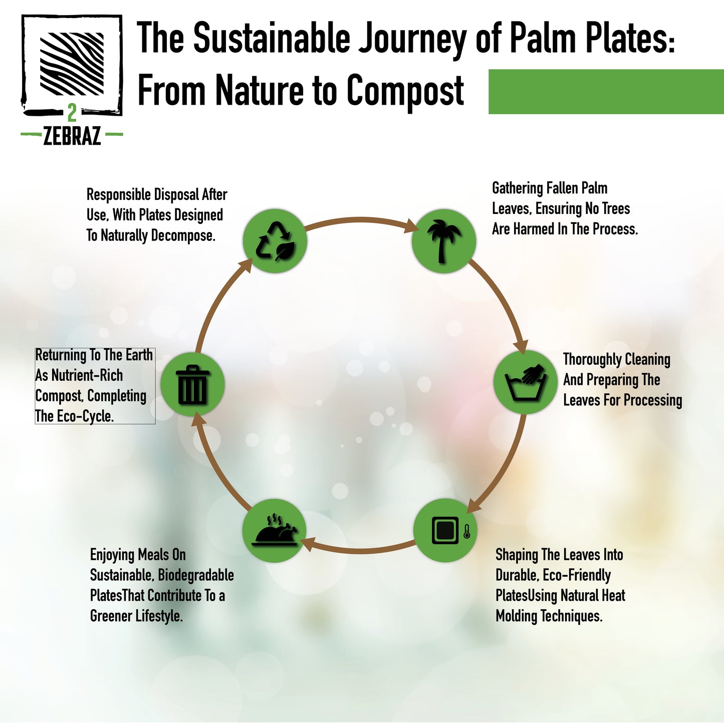 2ZEBRAZ 7” Square Palm Leaf Plates - Pack of 50 | Elegant, Durable, and Eco-Friendly