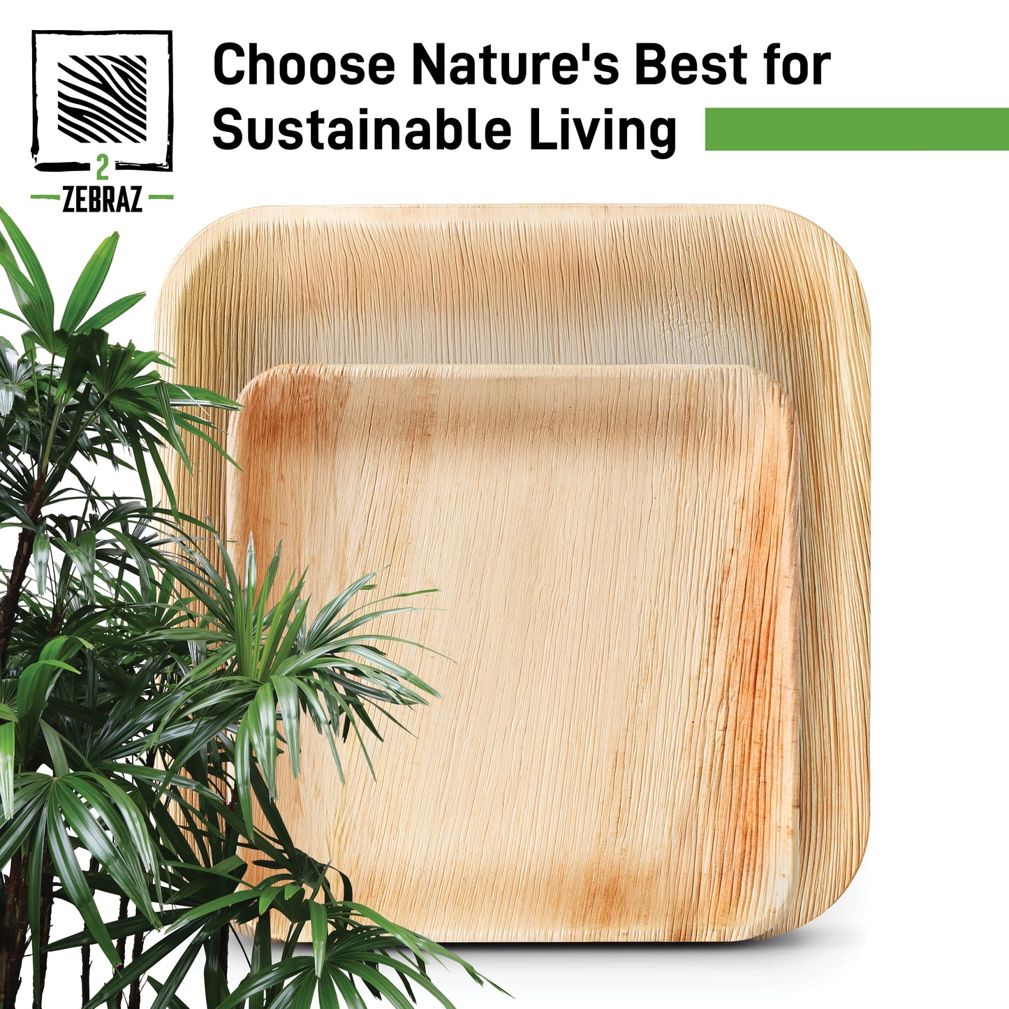 2ZEBRAZ Square Palm Leaf Plates Set - 25x7” & 25x10” | Durable, Stylish & Microwave-Safe | Pack of 50