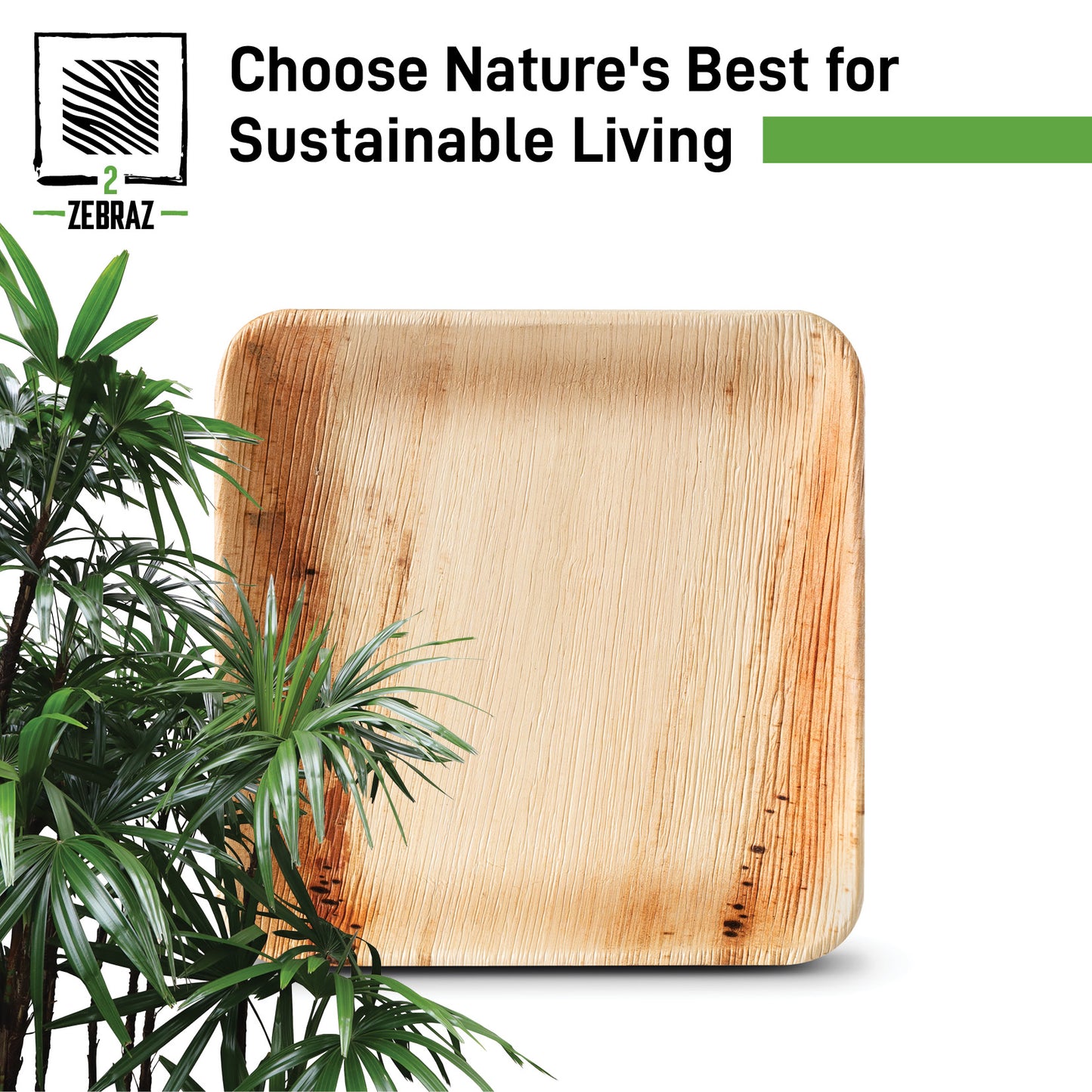 2ZEBRAZ 7” Square Palm Leaf Plates - Pack of 50 | Elegant, Durable, and Eco-Friendly